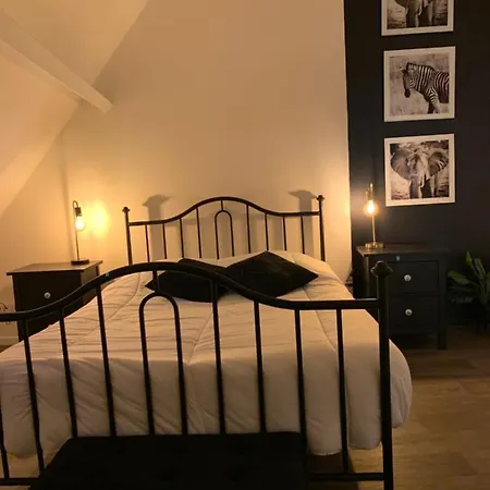 דירה Loft Cocooning Avec Jardin Dans La Cite Medievale *