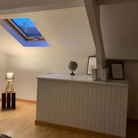 דירה Loft Cocooning Avec Jardin Dans La Cite Medievale *